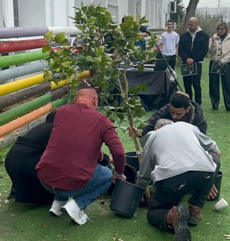 עץ פומילת לזכרו של אייל טויטו זל